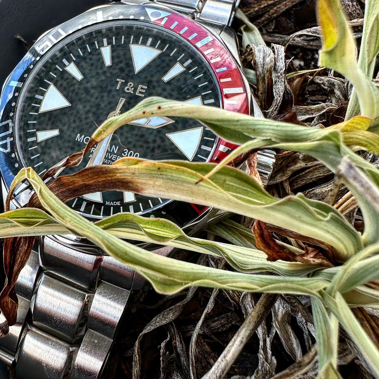 Time & Eternity watches in Tampa
